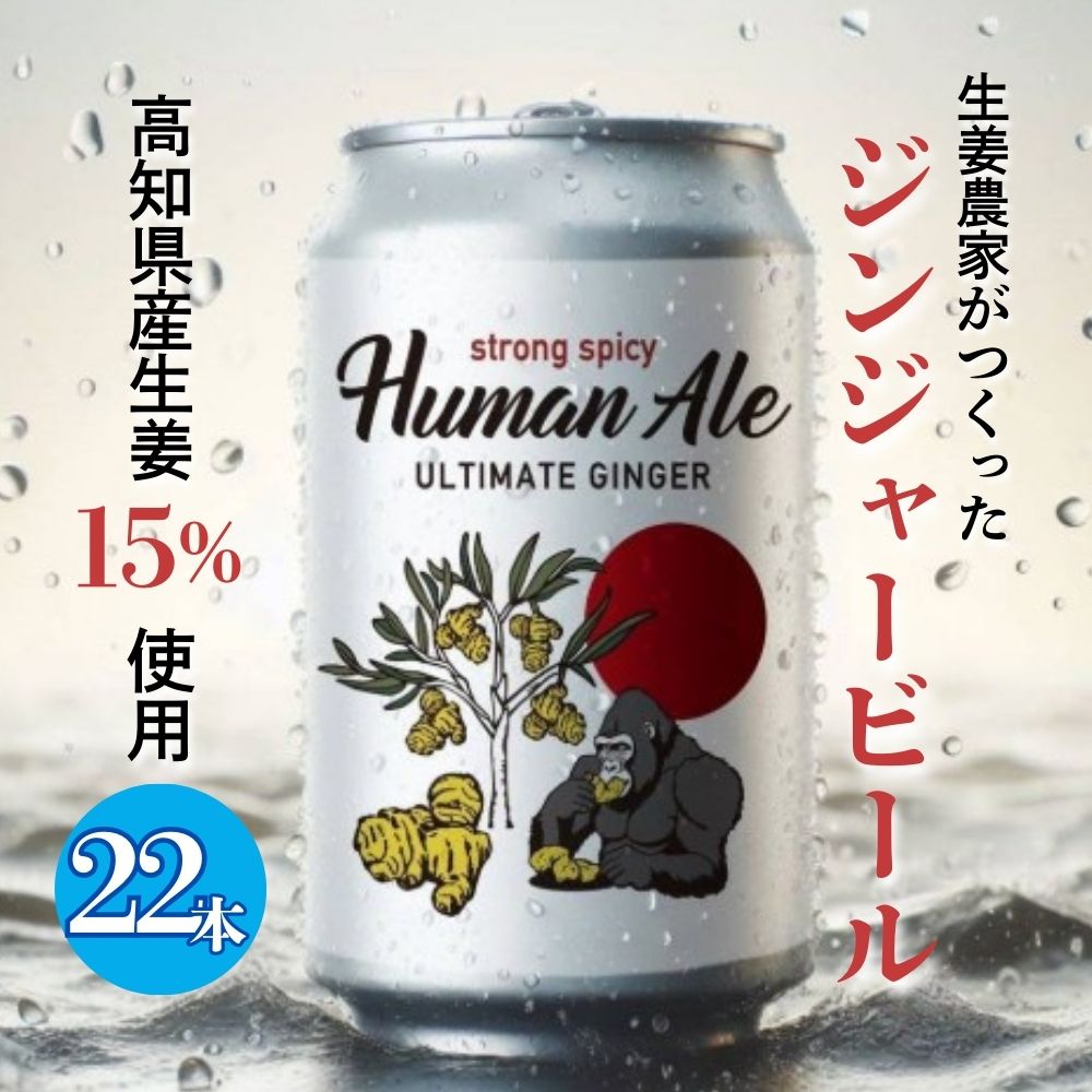 【ふるさと納税】　ジンジャービール 22本セット 生姜 ビール スパイシー 辛口 高知