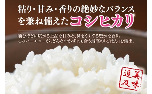 【数量限定】 令和8年産 【3ヶ月定期便】美味追求 茨城県産こしひかり 30ｋｇ（5ｋｇ×6）×3回 【定期便 お米 ごはん こしひかり 精米 おにぎり ごはん 茨城県 水戸市】(NA-11)