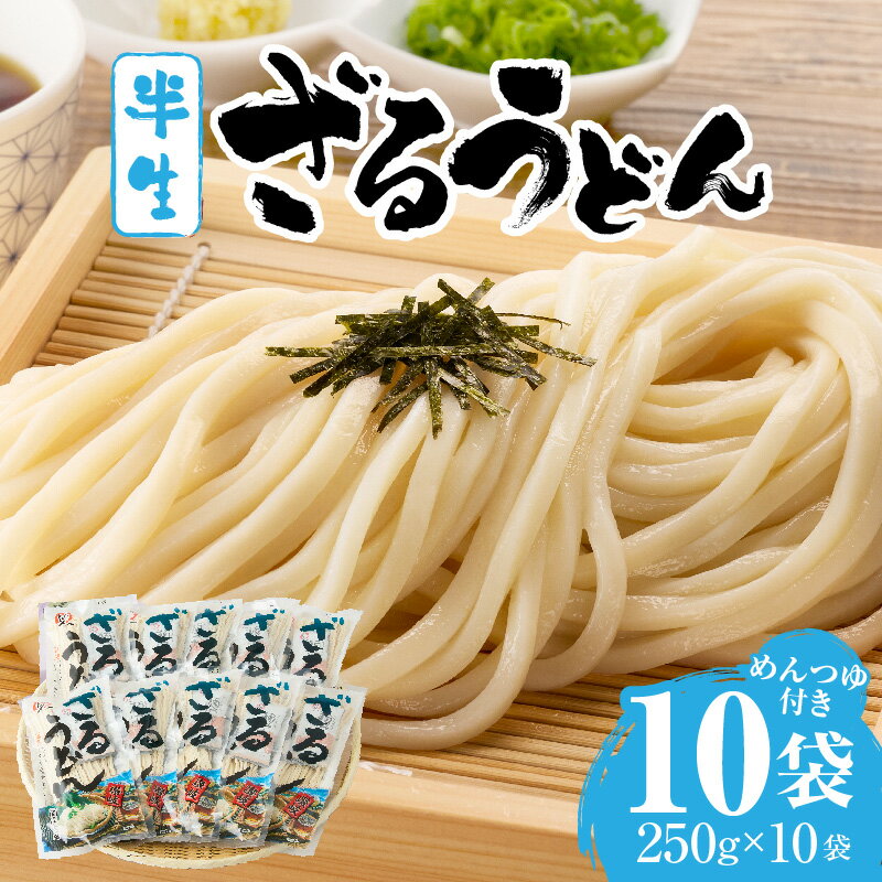 【ふるさと納税】ざるうどん半生10袋入（つゆ付） うどん さぬきうどん 讃岐うどん ざるうどん 細麺 半生うどん コシ めんつゆ付き かけ 釜あげ ぶっかけ 伝統 香川 半生 三木町