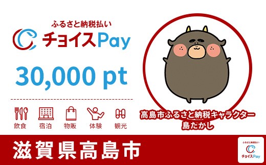 
                  高島市チョイスPay 30,000pt【会員限定のお礼の品】
                