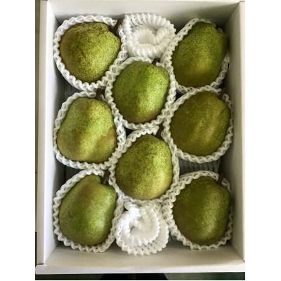 ふるさと納税 中山町 【発送月固定定期便】中山町の至高!厳選 秋のフルーツ定期便 2026年9月以降発送全3回 |  | 02