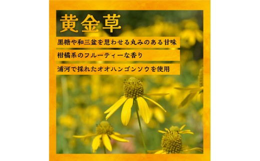 国産純粋完熟はちみつ大瓶セット(アカシア・黄金草)580g×2本[16-1658]