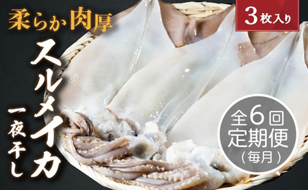 【毎月_定期便 全6回】日本海産柔らか肉厚のスルメイカ一夜干し 3枚 イカ いか イカ一夜干し