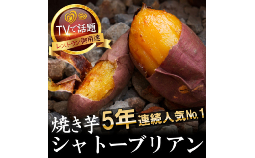 【焼き芋好き要注目】100日熟成ギリギリまで糖化したシャトーブリアン焼き芋2027年1月上旬～発送【1586922】