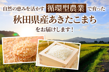 《令和7年産 新米先行受付》《定期便2ヶ月》 米 あきたこまち 5kg 【無洗米】 秋田県産