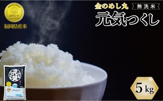 令和7年米 福岡県産 米 【無洗米】金のめし丸元気つくし 5kg | 無洗米 5kg お米 こめ 白米 ライス ブランド米