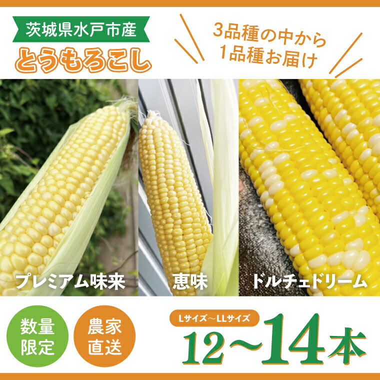 【ふるさと納税】6月下旬より発送 数量限定 とうもろこし 12〜14本 恵味 ドルチェドリーム プレミアム味来 とうもろこし トウモロコシ スイートコーン 農家直送 茨城県 水戸市（GR-4）