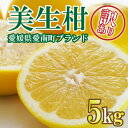 【ふるさと納税】 先行予約 訳あり 美生柑 みしょうかん 約 5kg 河内晩柑 不揃い サイズミックス 傷あり ばんかん フルーツ 果物 くだもの 文旦 晩生柑 厳選 愛媛 みかん 蜜柑 mikan 愛南 ご当地 ブランド 国産 産地 直送 フルーツアイランド マルエム直販 愛媛県 愛南町