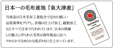 カシミヤ・ウール混わた入り マイヤー毛布 シングル 1枚 N-CAK-161