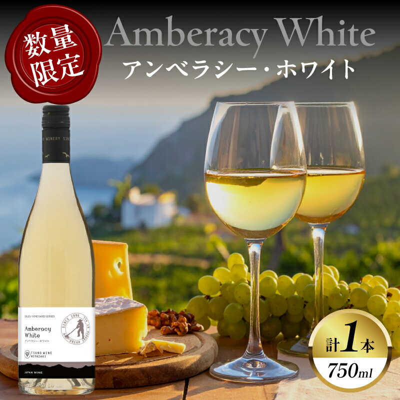 【ふるさと納税】【数量限定】アンベラシー ホワイト 計1本 国産 酒 アルコール 飲料 都農ワイン 白ワイン 辛口 果実酒 ぶどう 家飲み 鶏肉料理 魚介 チーズ パーティー お祝 ご褒美 記念日 おすすめ ギフト プレゼント 贈り物 贈答 常温 宮崎県 都農町 送料無料
