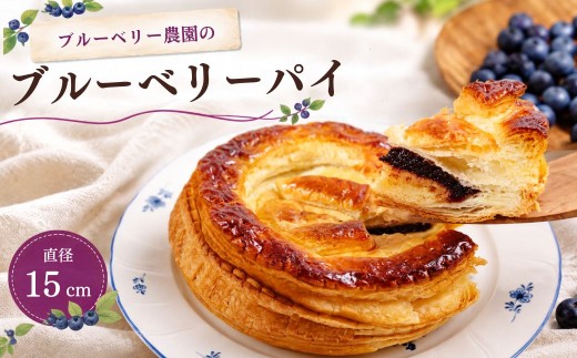 ブルーベリーパイ 15cm  | ブルーベリーパイ ぶるーべりーぱい ブルーベリーケーキ ぶるーべりー ホール 冷凍ケーキ 国産ブルーベリー 国産  お取り寄せ 愛知県 豊田市