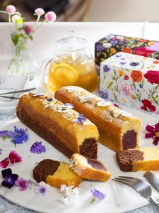 宝塚すみれケーキ【ショコラ】