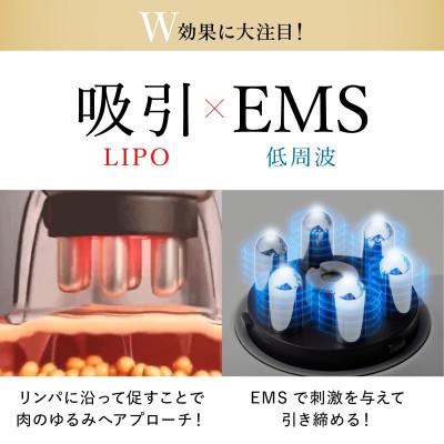ふるさと納税 つくばみらい市 WAVEWAVE EMS スリムエステ |  | 02