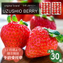 【ふるさと納税】【 予約受付中・2024年12月頃より順次発送 】フルーツガーデンやまがたのいちご「うずしおベリー」約900g 大粒 30個 苺 いちご イチゴ 紅ほっぺ 果物 フルーツ 送料無料 徳島 鳴門 農家直送 ギフト 甘い 旬 数量限定