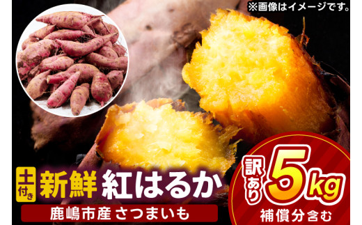 訳あり さつまいも 紅はるか 約5kg 数量限定 土付き 【先行予約】 べにはるか 野菜 甘い 焼きいも スイートポテト  生芋 サツマイモ スイーツ おやつ 焼き芋 焼芋 天ぷら 大学芋 ほしいものおにざわ 茨城県 鹿嶋市 【2026年10月以降発送】