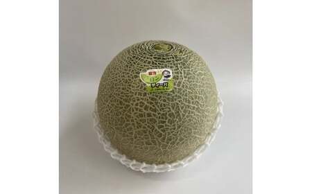 【倉吉産】ディーバメロン 約2.7kg（10月発送） ディーバメロン