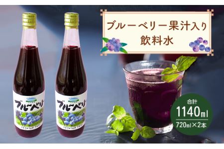 岡垣町産 ブルーベリー 果汁入り 飲料水 2本 セット