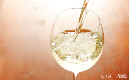 山野峡ワイン2023北天の雫 広島県福山市/株式会社福山健康舎(山野峡大田ワイナリー) 山野峡ワイン 福山 広島 ワイン 福山市 ぶどう ワイナリー[BADO009]