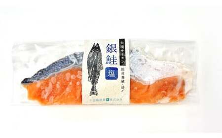 大槌サーモン 銀鮭 3種 味比べ （甘塩・西京漬け 粕漬け）1切入×3パック（クラフトパック入り）｜サーモン 国産 サーモン切り身 冷凍 小分け 詰め合わせ セット ご当地サーモン 国産 食べ比べ