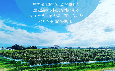 赤ワイン　Vestito Rosso　2024　750ml×1本　株式会社エルサン　国産 日本ワイン
