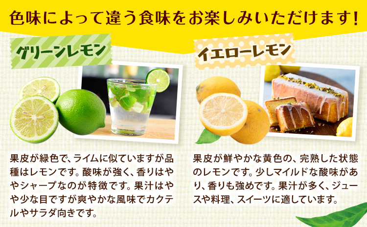 f生産者応援企画!訳あり 国産レモン 約4kg 《10月上旬-1月下旬頃出荷》産地直送 レモン 檸檬 グリーンレモン イエローレモン 防腐剤不使用 果物 フルーツ(f-1)