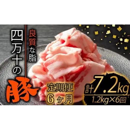 【 豚肉 】 豚肉定期便6ヶ月7.2kg