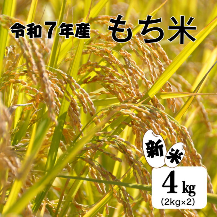 【ふるさと納税】≪数量限定≫ 令和7年産『もち米』 4kg (2kg×2袋）精米 新米 もち米 4kg 4キロ 米 お米 精米 こめ コメ もち モチ もち米 限定 雑煮 正月 粘り こし おこわ 赤飯 餅 おはぎ 12000円 小分け ふるさとのうぜい 故郷納税 高知県 田野町 送料無料 返礼品