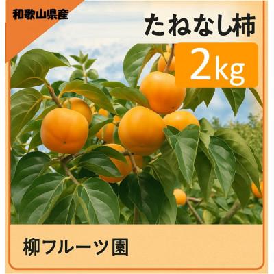 ふるさと納税 橋本市 柿【先行受付】柳フルーツ園 たねなし柿 約2kg
