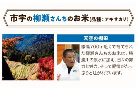 かみかつ棚田未来づくり協議会 米 かみかつの棚田米 柳瀬さんちのお米 アキサカリ レターパック配送 3合《30日以内に出荷予定(土日祝除く)》 徳島県 上勝町 ふるさと納税 送料無料