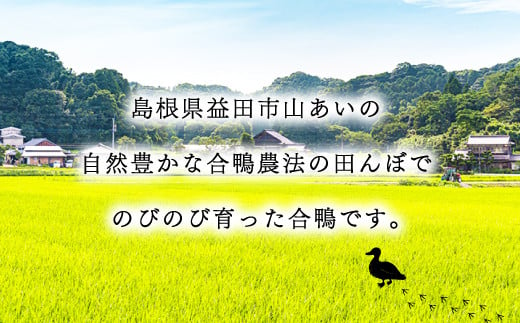 島根県益田市山あいの自然豊かな合鴨農法の田んぼでのびのび育った合鴨です。
