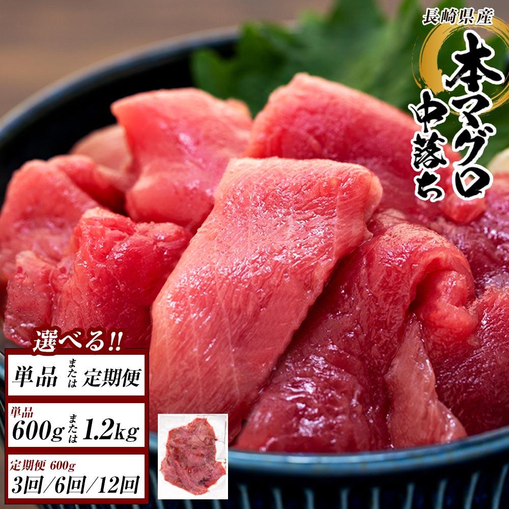 【ふるさと納税】長崎県産　本マグロ中落ち（約600g） | マグロ 鮪 中落 小分け 刺身 養殖 海鮮丼 手巻き寿司 魚介類 海鮮 高級 お取り寄せ グルメ ギフト おつまみ 長崎 まぐろ 送料無料 九州