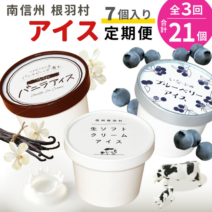 【ふるさと納税】 全3回〈翌月から発送開始〉★3種類のアイス定期便 南信州根羽村産アイス が毎月7個届く！ 合計21個 アイス アイスクリーム 定期便 生ソフトクリームアイス バニラアイス ブルーベリー 果物 ジャム 長野県 根羽村 ソフトクリーム スイーツ 17000円 17,000円