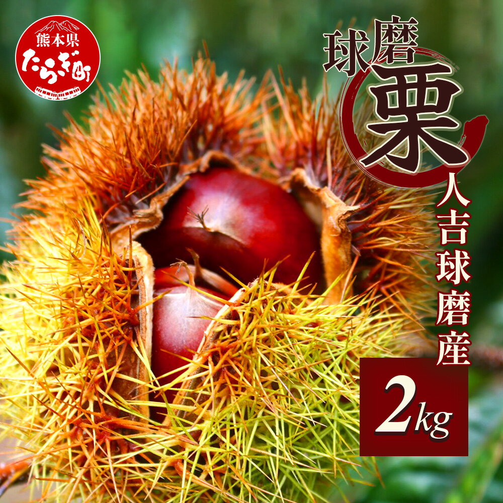 【ふるさと納税】【2025年9月下旬から順次発送】JAくま 球磨 栗 2kg くり 熊本県産 多良木町 くり マロン 生栗 旬の味覚 甘い ほっくり 山海の味覚 和 スイーツ フルーツ 果物 くだもの 果実 熊本県 多良木町 送料無料