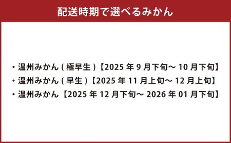 【先行受付】 特別栽培みかん（早生） 10kg サイズミックス 早生みかん 温州みかん みかん ミカン 蜜柑 フルーツ 柑橘 果物 果実 熊本県 上天草市【2025年11月上旬から12月上旬発送開始】