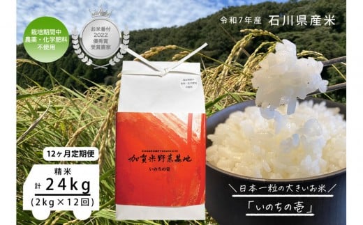 
            《令和7年産 新米》【12ヶ月定期便】【お米番付優秀賞受賞農家】日本一粒の大きいお米『いのちの壱』白米2kg×12回
          