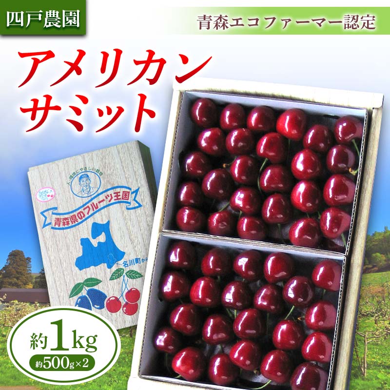 【ふるさと納税】 《農家直送》 さくらんぼ 「アメリカンサミット」 バラ詰め 約1kg 【四戸農園】 青森県エコファーマー認定 F21U-306