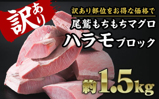 
【訳あり】尾鷲もちもちキハダマグロ　ハラモ詰め合わせ　大満足1.5kg｜ブロック 冷凍 天然マグロ 　CH-96
