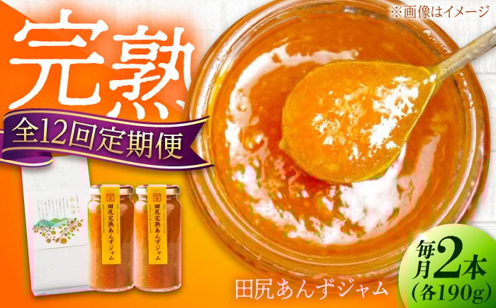
            【全12回定期便】 ジャム 田尻完熟あんずジャム (2本)　ジャム 果物 あんず パン 甘い 菓子 朝ごはん 広島県福山市/有限会社勉強堂 [BAFL014]
          