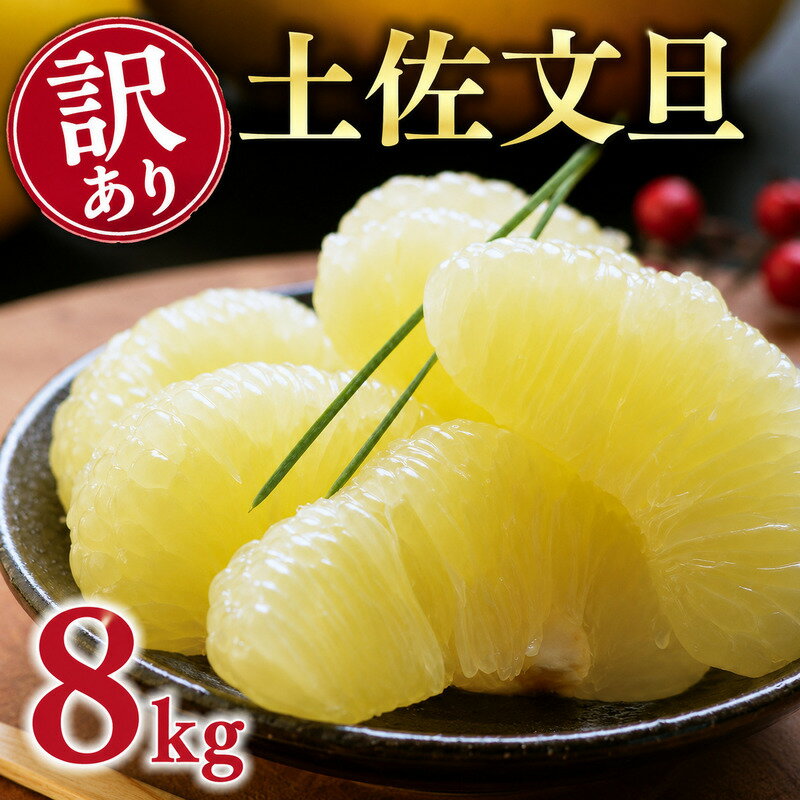 【ふるさと納税】 【先行予約：2026年12月中旬～発送】 樹齢25年 以上 土佐 文旦 8kg 訳あり 8000円 Mサイズ以上 サイズミックス ぶんたん みかん 蜜柑 ミカン 土佐文旦 国産 人気 フルーツ 果物 柑橘 おいしい くらもとファーム 愛南町 愛媛県