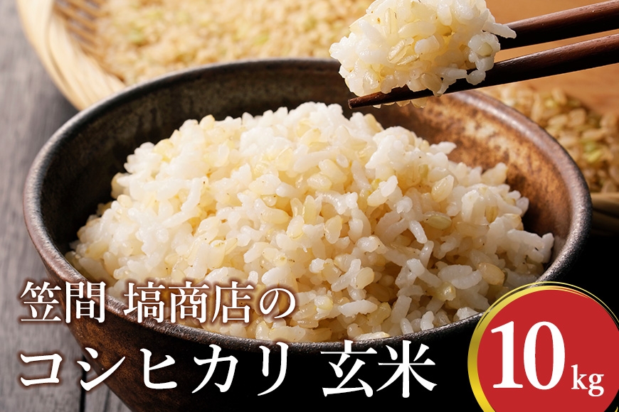 コシヒカリ 玄米 10kg 笠間 塙商店 米 令和7年度産 ブランド米 お米 げんまい 国産 おにぎり 弁当 R7年産 ごはん おいしい 旨い ふっくら お米 茨城県 笠間市 いばらき