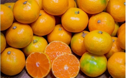 【訳あり】手選別 極早生みかん 約2kg 和歌山県産 2S~2Lサイズ混合 ※2025年10月上旬～下旬頃に順次発送【mrmt003】