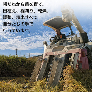 米 キヌヒカリ 玄米 20kg〈アグリにのうみ〉京都・亀岡産《令和5年産》※着日指定不可※沖縄・北海道・離島お届け不可