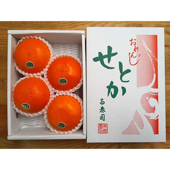 【ふるさと納税】ハーフ 化粧箱 柑橘の大トロ ハウス せとか 厳選 4玉入 南泰園【2024年2月上旬～発送】
