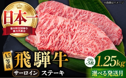 【9月発送】【飛騨牛】 A5等級 サーロイン ステーキ用 5枚 (計1.25kg) 和牛 ブランド牛 国産 牛肉 多治見市 / 渡辺精肉店 [TAZ002-9]