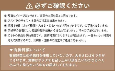 北海道産アスパラと季節の有機野菜セット 【2026年4月下旬～8月下旬迄発送予定】 北海道 北広島市 野菜セット アスパラ 有機野菜 