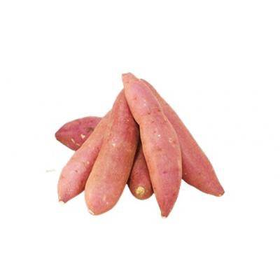 ふるさと納税 臼杵市 【先行予約】めっちゃ甘い!高糖度かんしょ「甘太くん」 (500g×20袋)計10kg |  | 03