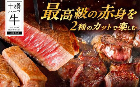 北海道 十勝 ハーブ牛 ヒレステーキ セット 1kg （ミニステーキ300ｇ+コロコロステ ーキ200ｇ）×2 《足寄町》【株式会社ノベルズ食品】[BEAQ060]
