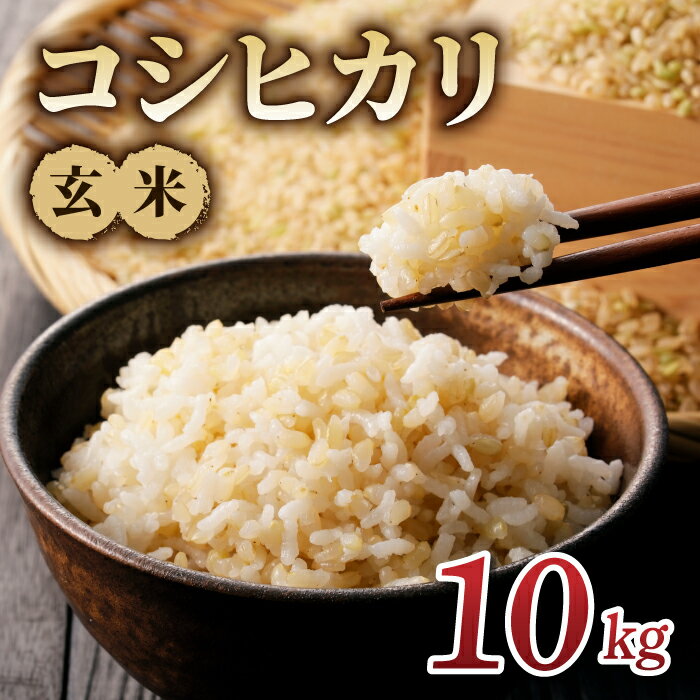 【ふるさと納税】令和7年産米！コシヒカリ玄米10kg