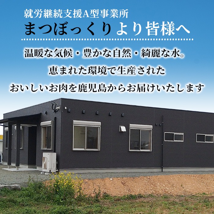 i1090-A 鹿児島県産 若鶏モモ肉(計4kg・2kg×2袋) 鶏肉 鳥肉 もも肉 とり肉 国産 鹿児島県産 2kg 4kg 安心安全 冷凍 【まつぼっくり】