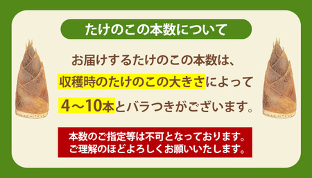 s089 《先行予約受付中！2025年3月下旬より順次発送予定》鹿児島県産たけのこ(4kg・約4～10本) 産地直送 筍 タケノコ 国産 煮物 炊き込みご飯 【弐番屋】